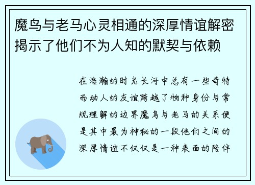 魔鸟与老马心灵相通的深厚情谊解密揭示了他们不为人知的默契与依赖